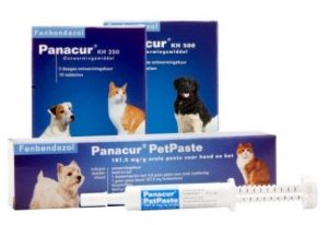 Panacur ontwormingsmiddel