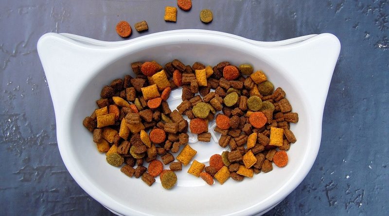 kattenbrokjes in voerbakje