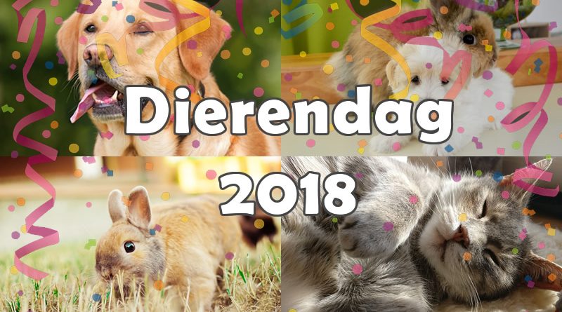 dierendagacties 2018