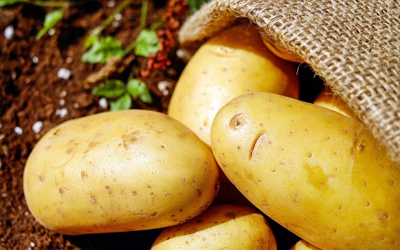 aardappel ingredient kattenvoer