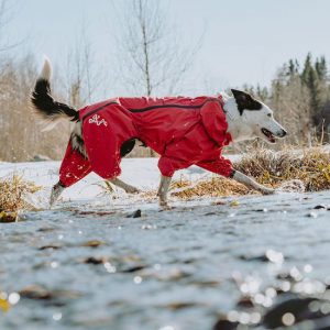 hond met Hurtta hondenjas