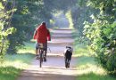 Fietsen met je hond