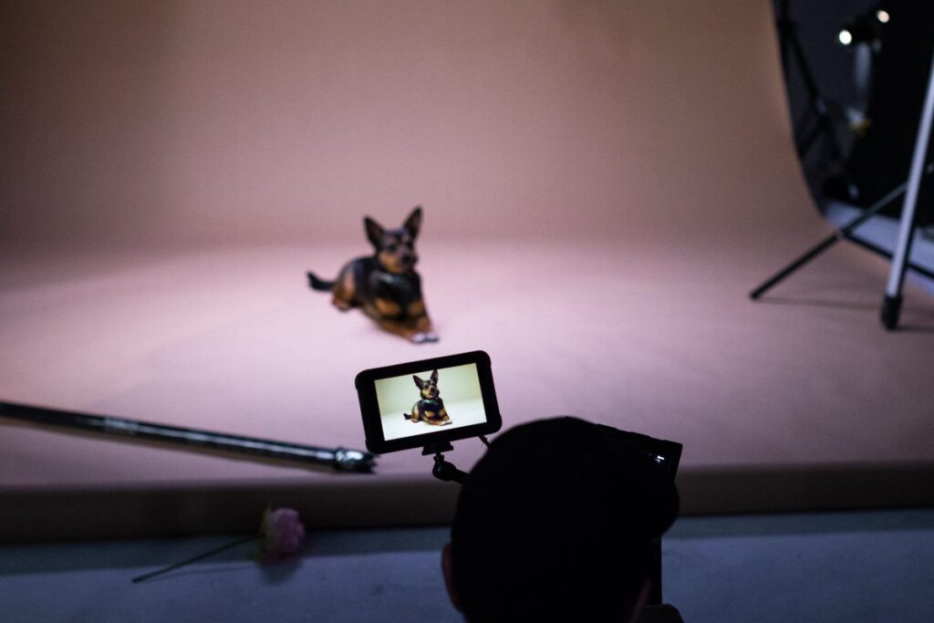 fotoshoot met hond
